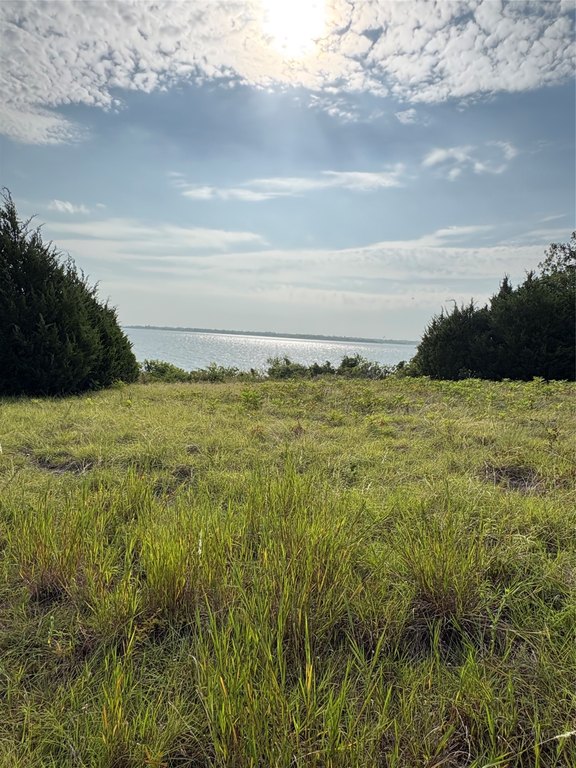 Picture 17