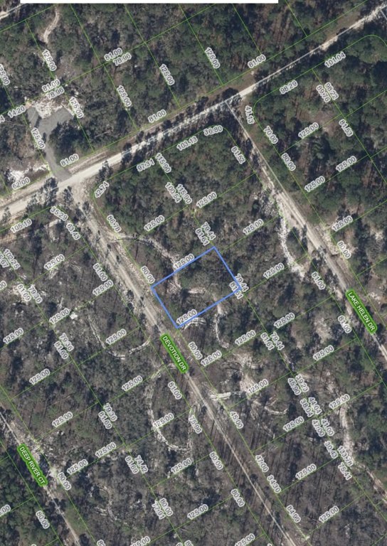 Picture 5