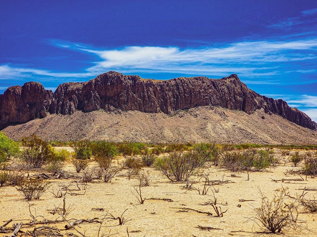 Terlingua, TX Land For Sale