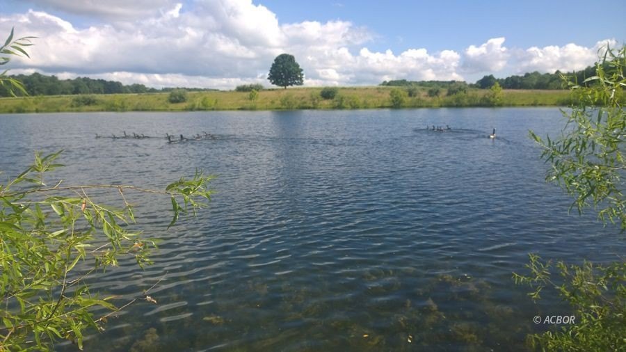 Land with 6-Acre Lake