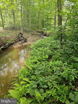 Land Near Pisgah Run Creek