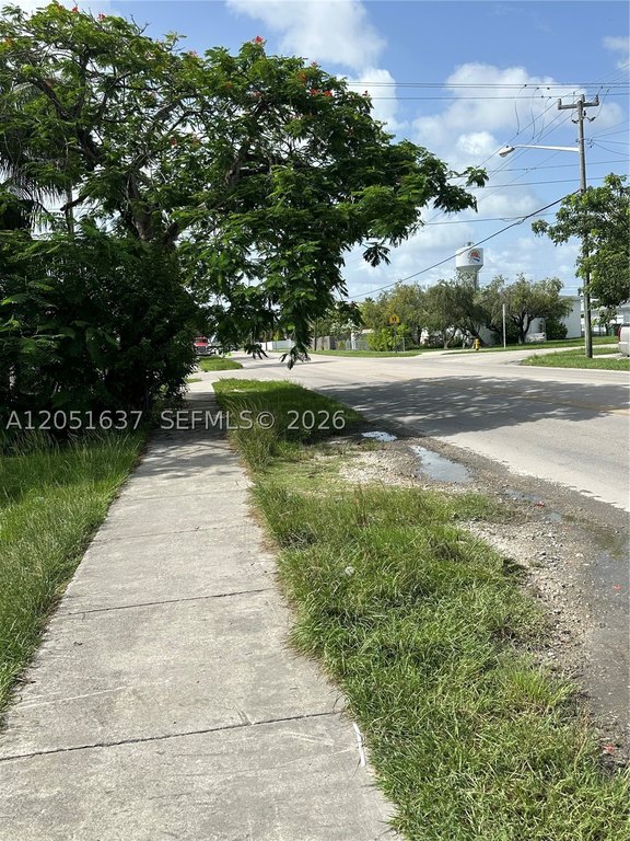 Picture 8