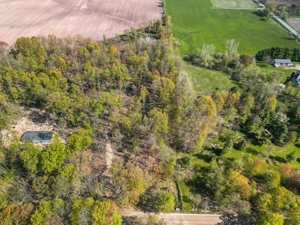 Picture 7