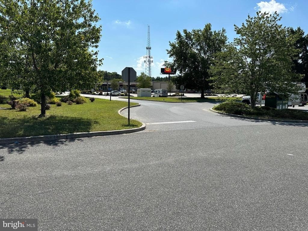 Picture 4