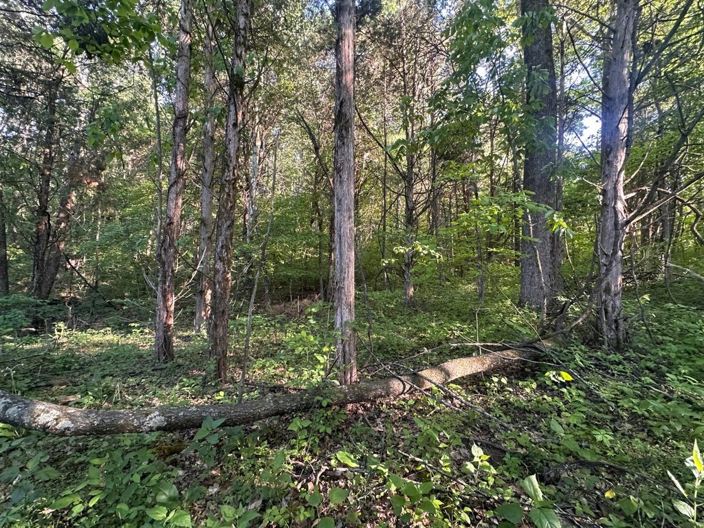 Picture 39