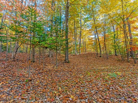 Land, Lake Tomahawk, WI