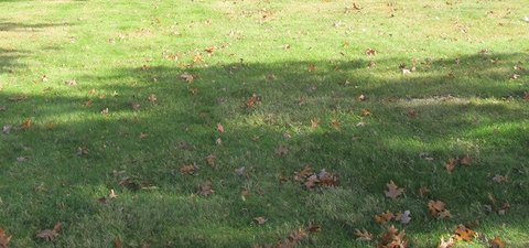 Prime One-Acre Homesite Ready