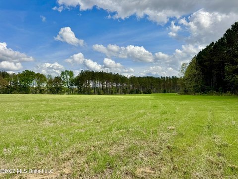 LAND - Canton, MS