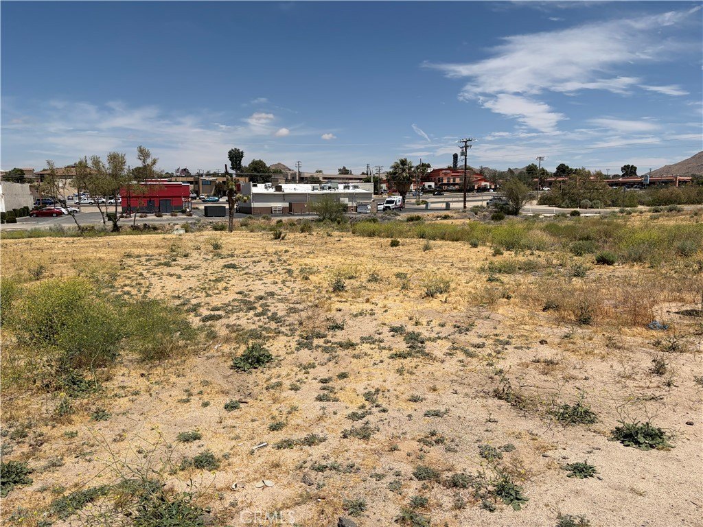 Picture 4