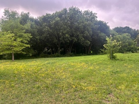 Land, Waxahachie, TX