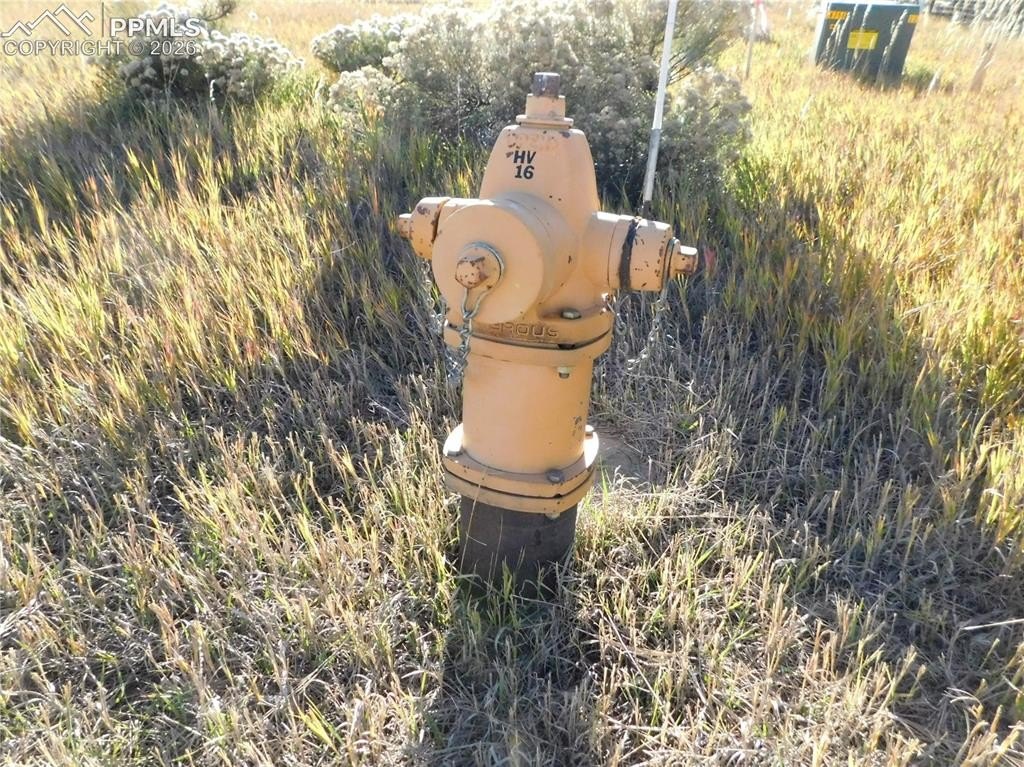 Picture 45