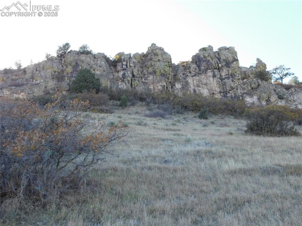 Picture 30