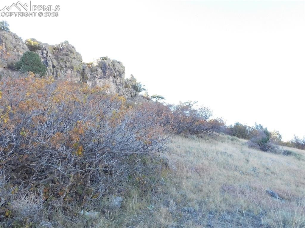 Picture 24