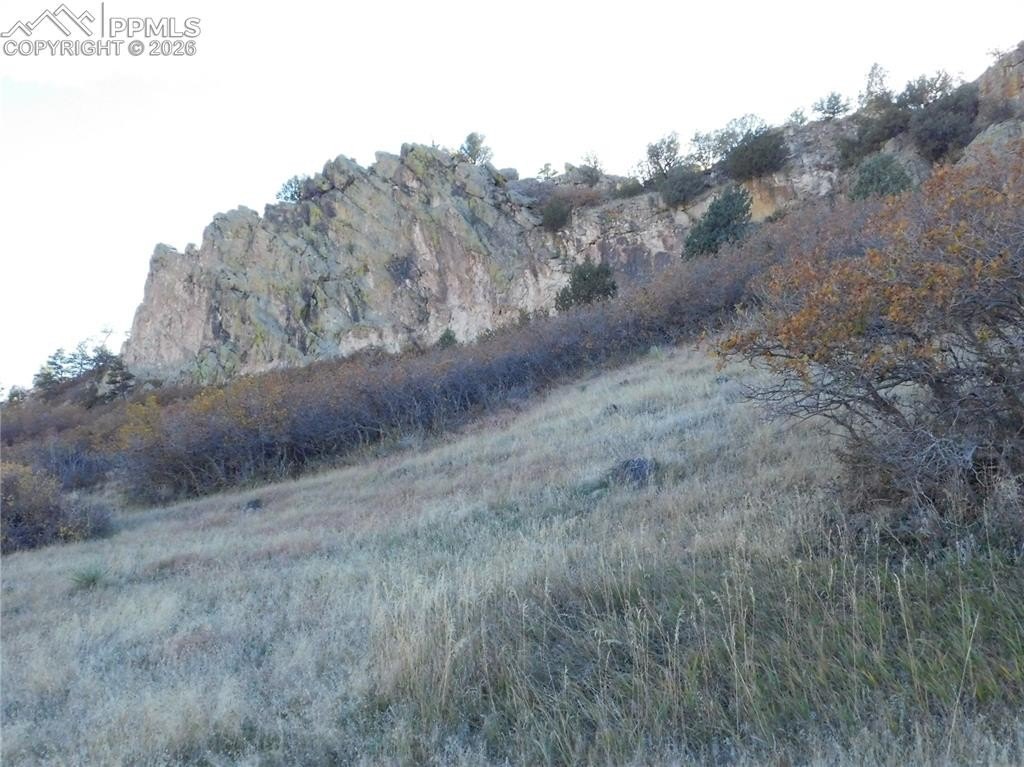 Picture 31