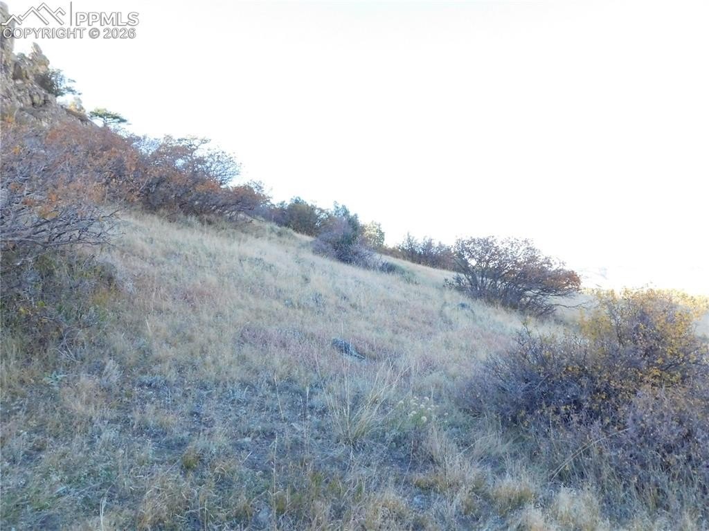 Picture 25