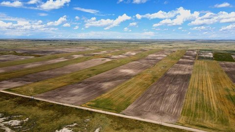 Farmland Tract with Crop-Share Lease
