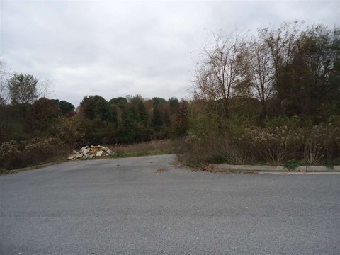 Zoned Limited Business Commercial Lot
