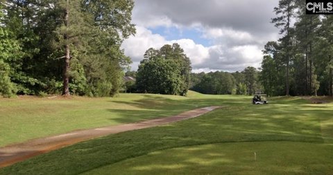 LOTS AND ACREAGE, Chapin, SC