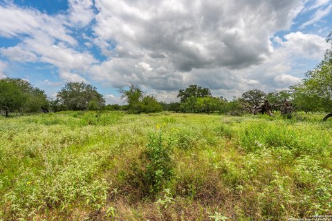 Land, Natalia, TX