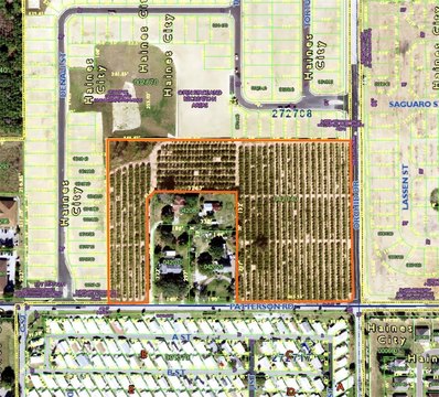 Commercial Land with Orange Grove