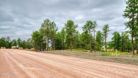 Land, Pine Haven, WY