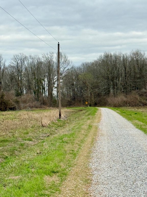 Picture 2