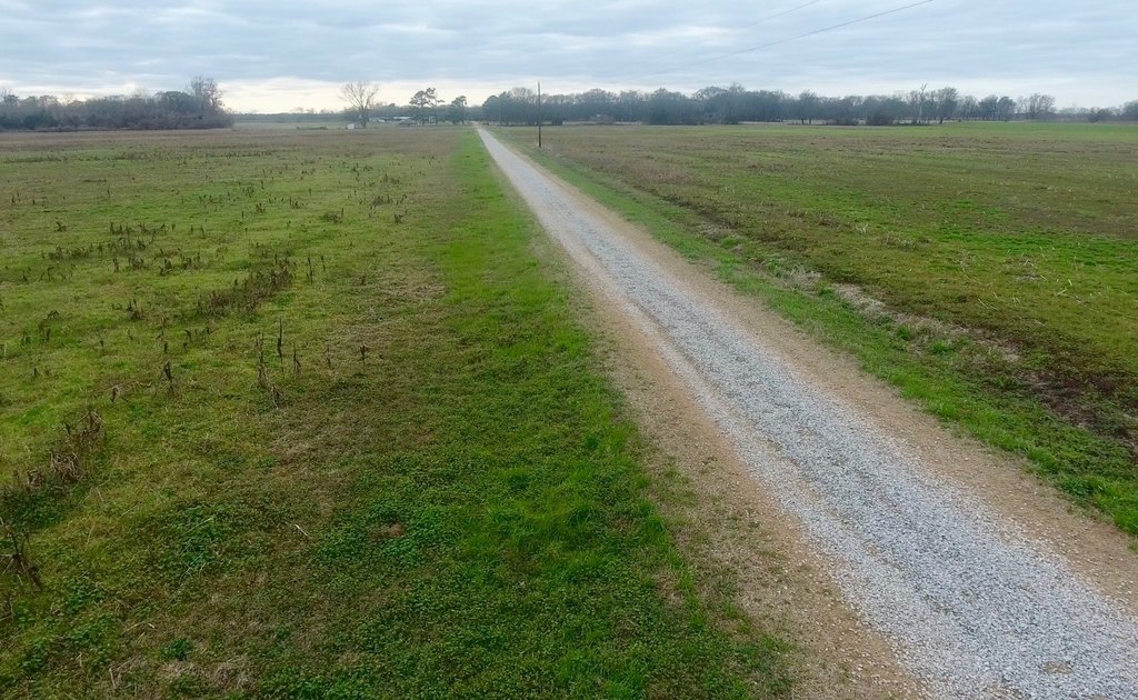 Picture 21