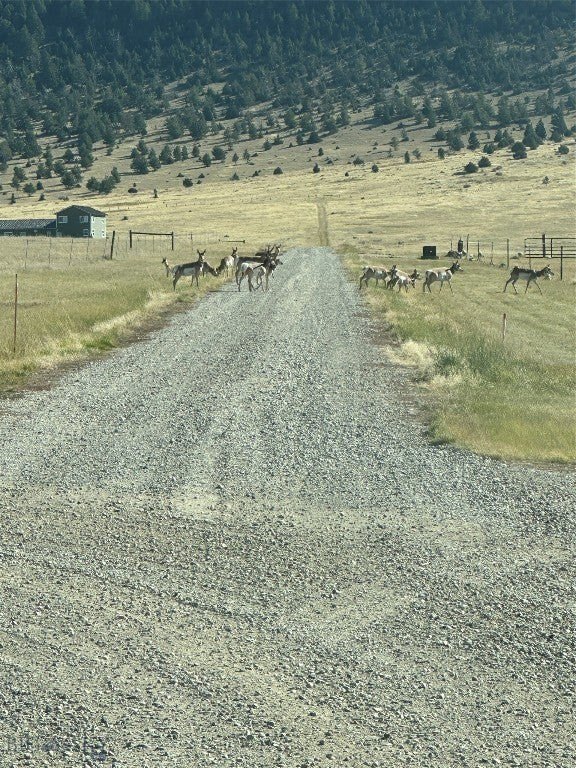 Picture 9