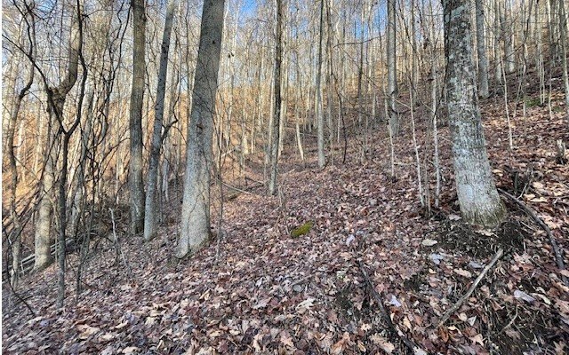 Picture 7