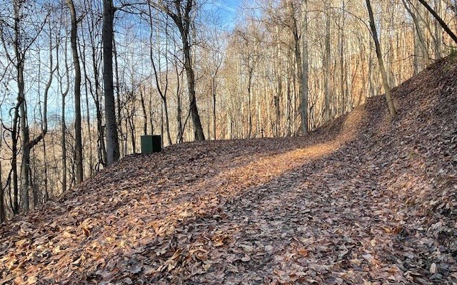 Picture 4