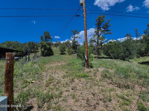 Land in Gila National Forest