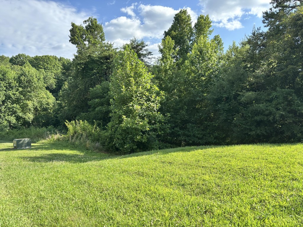 Picture 20