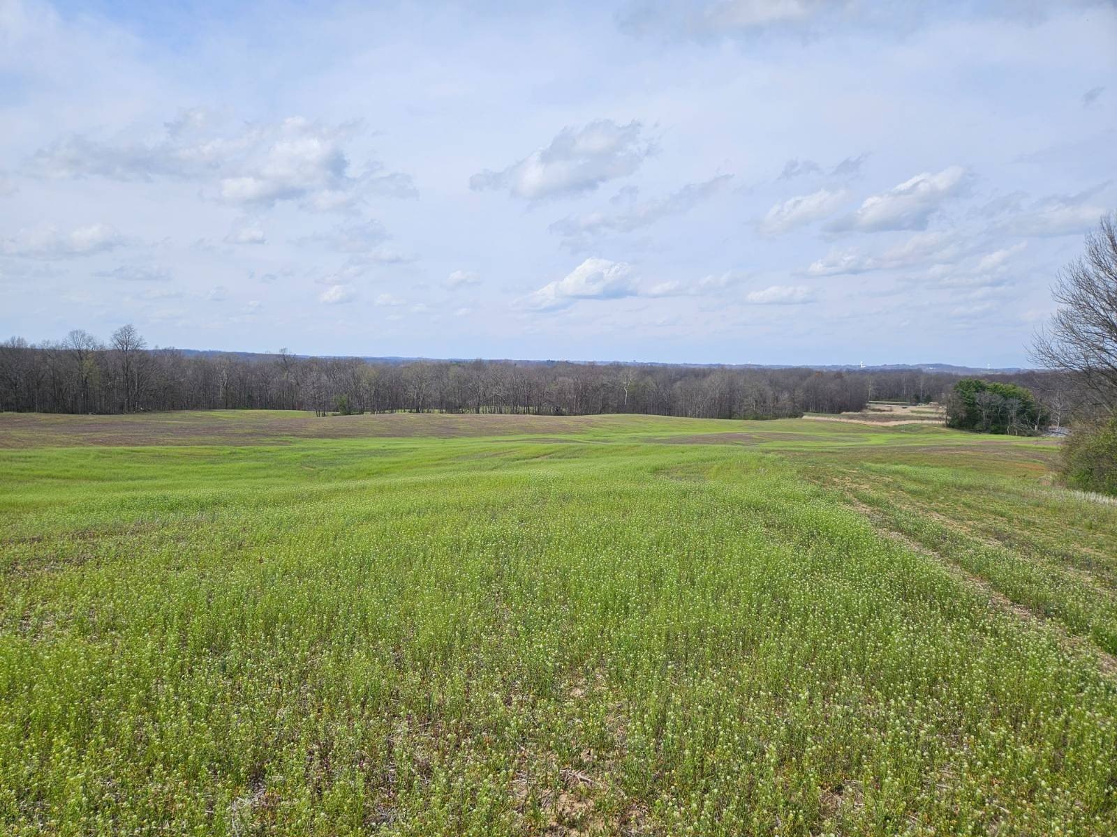 66 Acres Vacant Land Parcel
