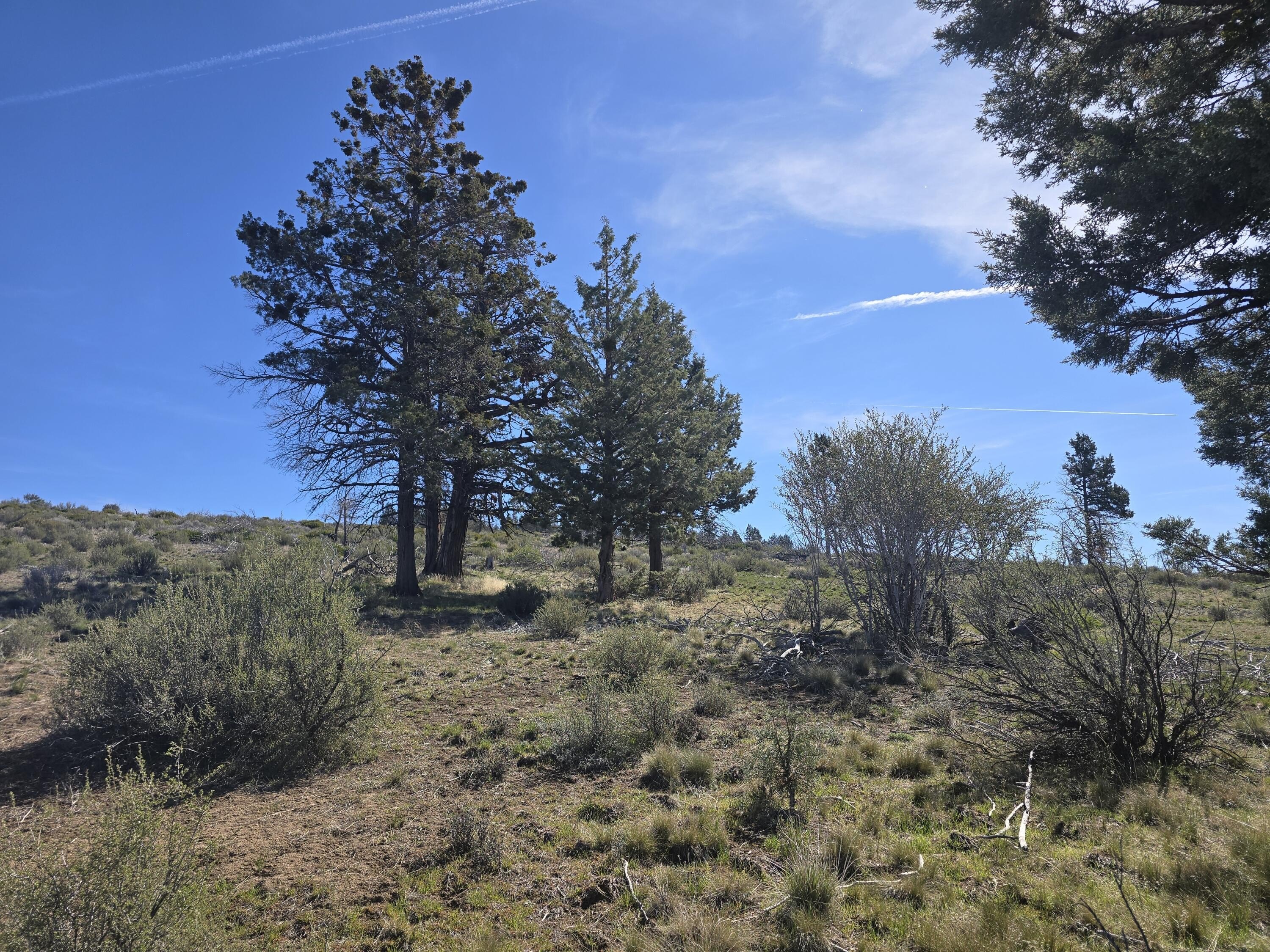Recreational Land in Klamath Basin