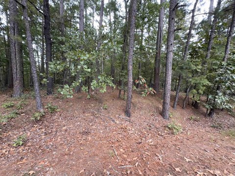Vacant Land, Hot Springs Village, AR