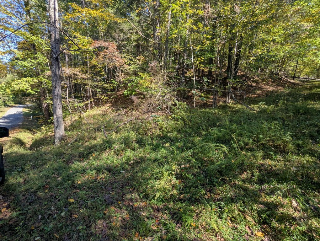 Picture 19