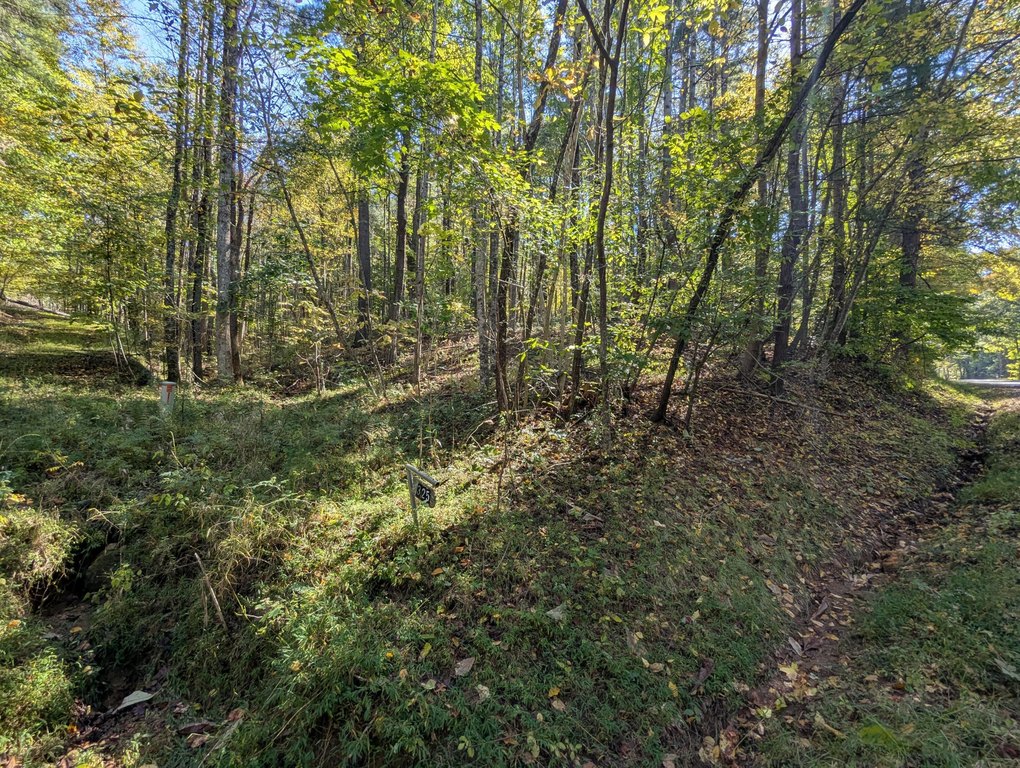 Picture 20