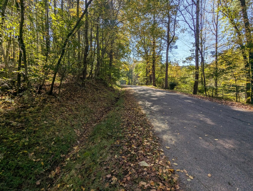 Picture 21