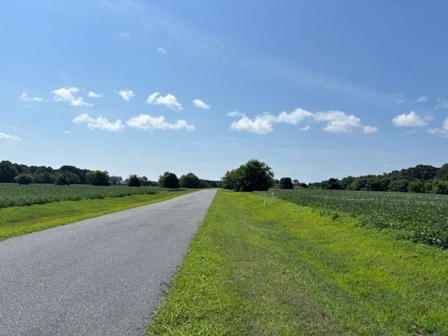 Picture 38