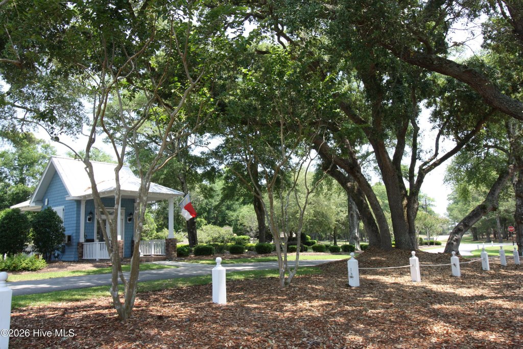 Picture 37