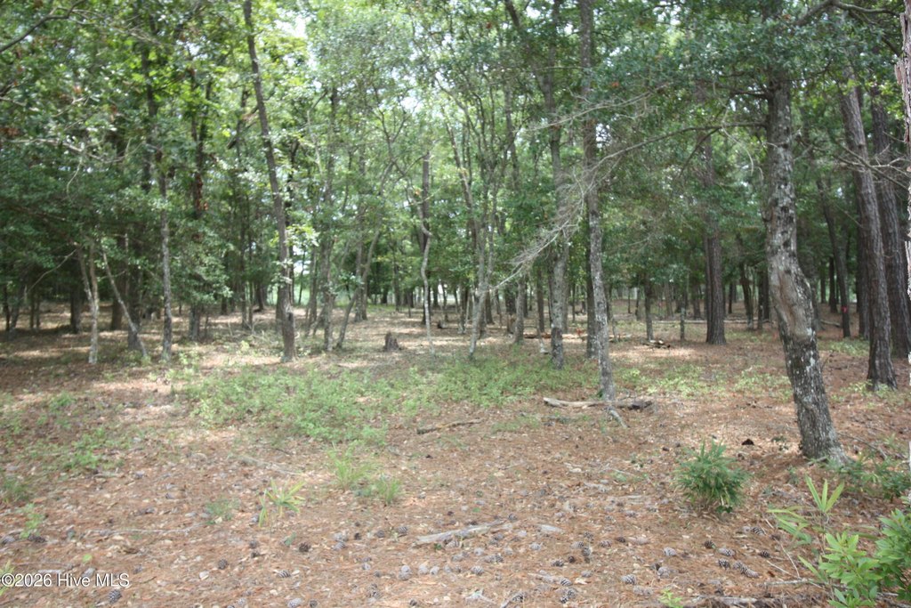 Picture 11