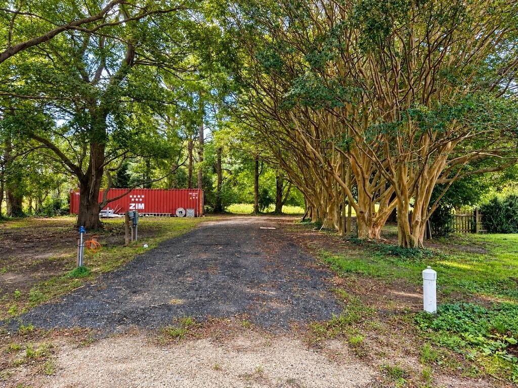 Picture 8
