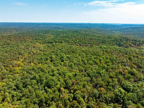 Hardy, Arkansas Wooded Land