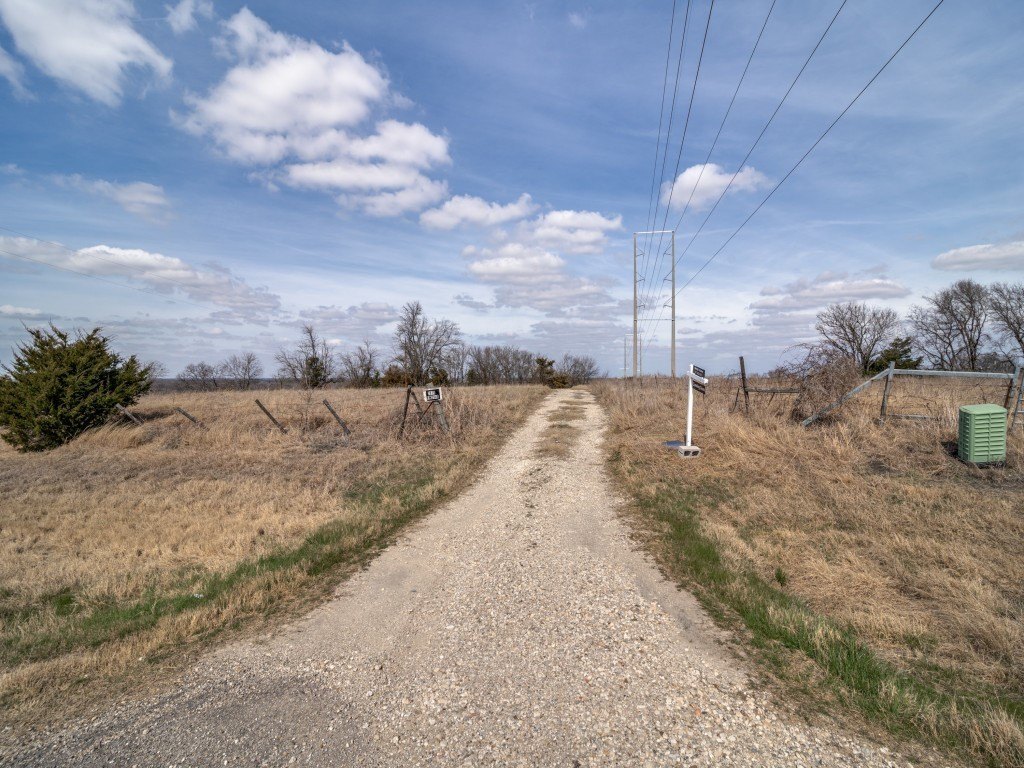 Picture 14