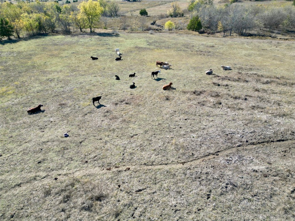 Picture 5