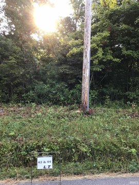 Wooded Rugged Land Lots