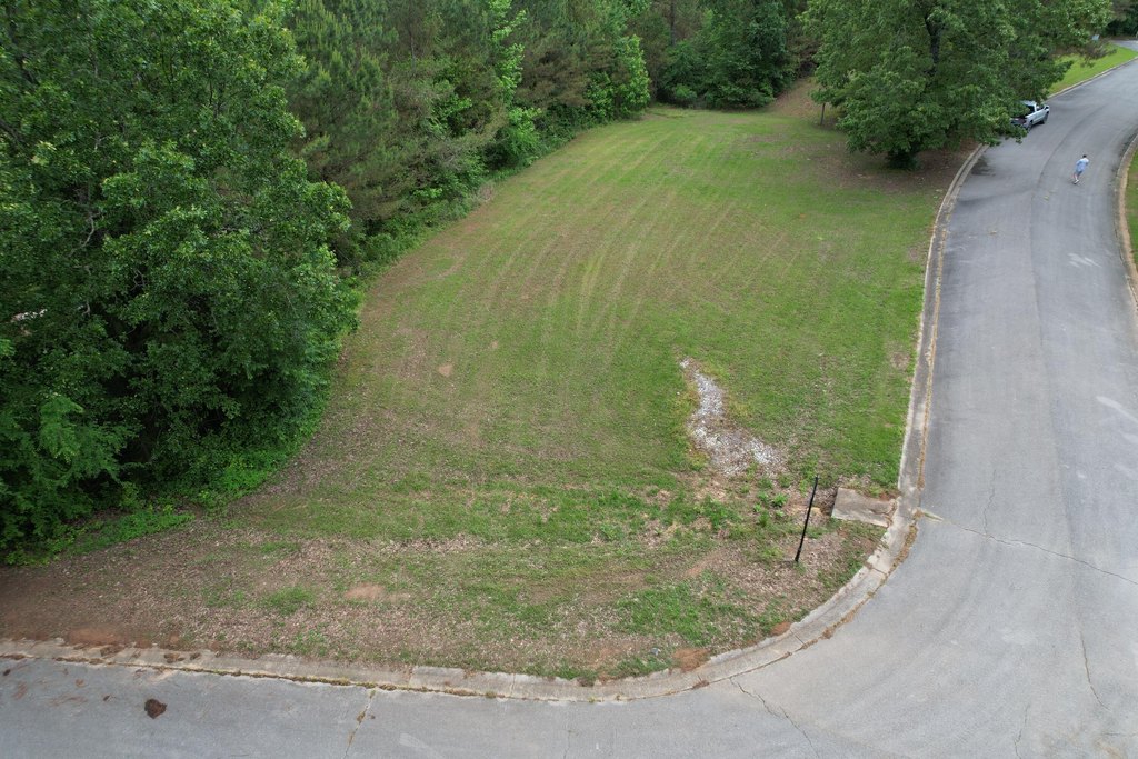 Picture 8