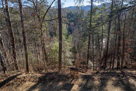 Ridge Top Homesite with River Frontage