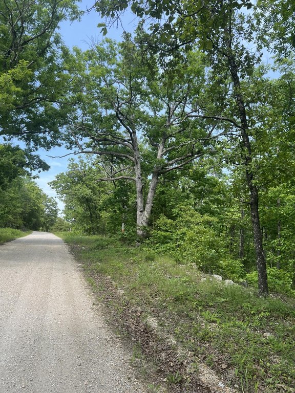 Picture 8