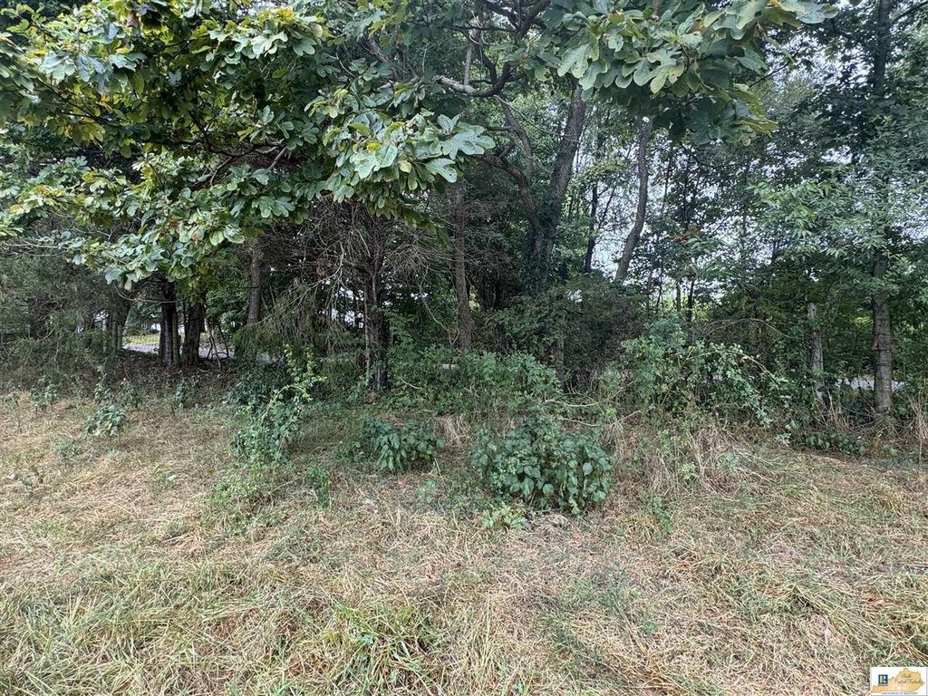 Picture 38